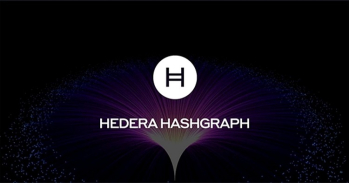 درباره ارز Hedera Hashgraph | ایران ماین