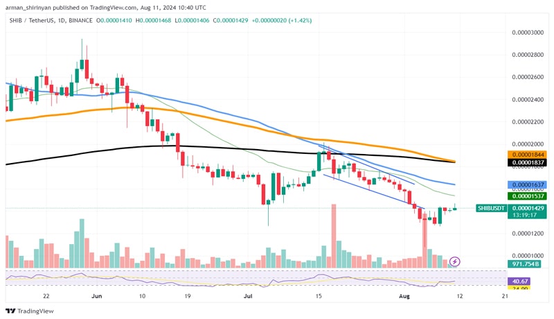 binance-moves-137-billion-shiba-inu-shib-detail