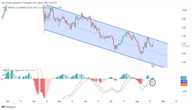 aptos-analysis-bearish-signs-emerge-despite-price-recovery