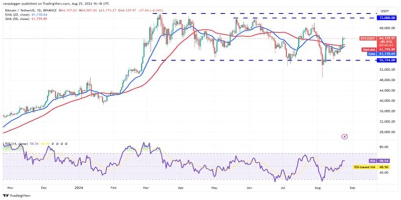 matic-sui-render-and-tao-may-rally