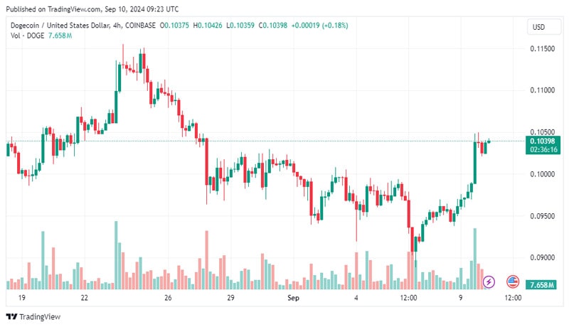 doge-large-holders-target-double-digit-gains