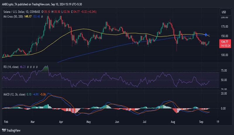 solana-whale-buys-23-mln-tokens-what-it-means-for-sol-