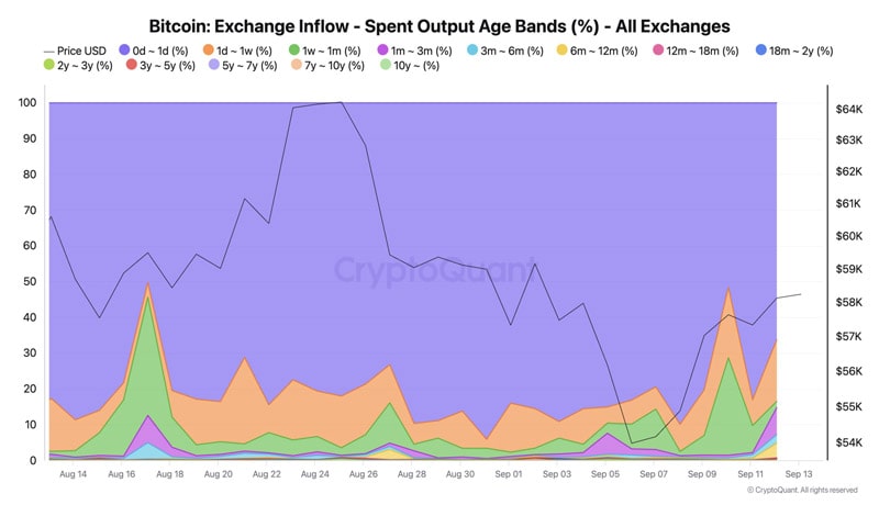 of-bitcoin-exchange-inflows-come-from-short-term-holders