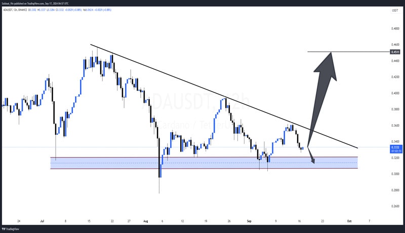 charles-hoskinon-teases-solana-killer-tech-will-cardano-price-boom