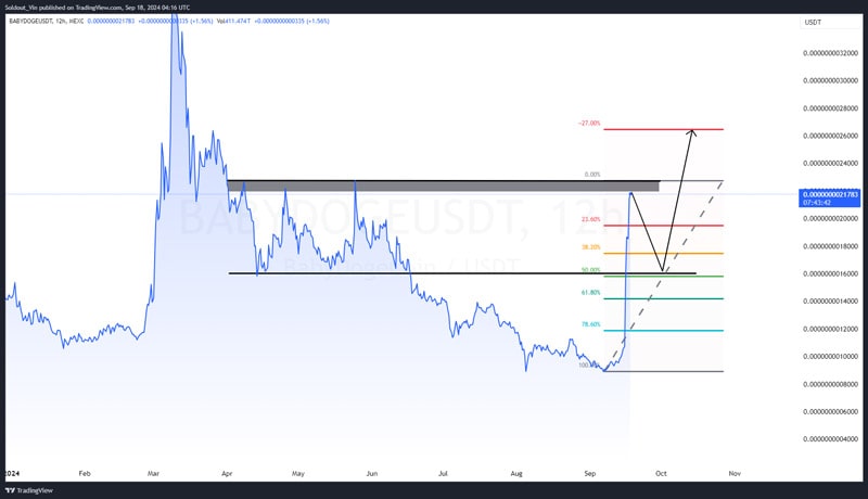 why-is-baby-doge-coin-price-up-