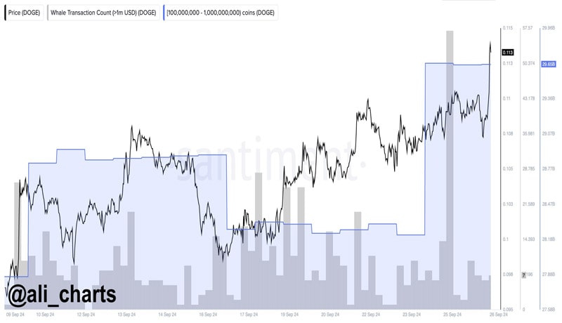 dogecoin-whales-doge-140-million