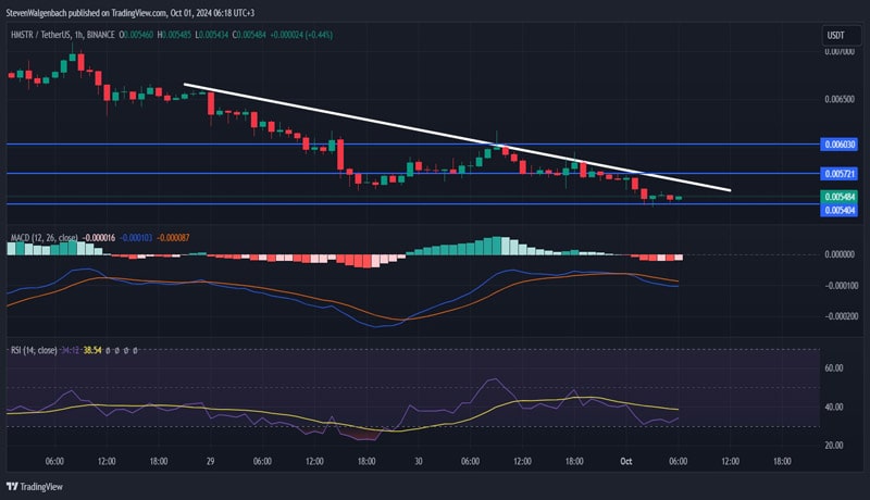 hamster-kombat-price-prediction-hmstr-plunges-5-as-this-new-meme-coin-ico