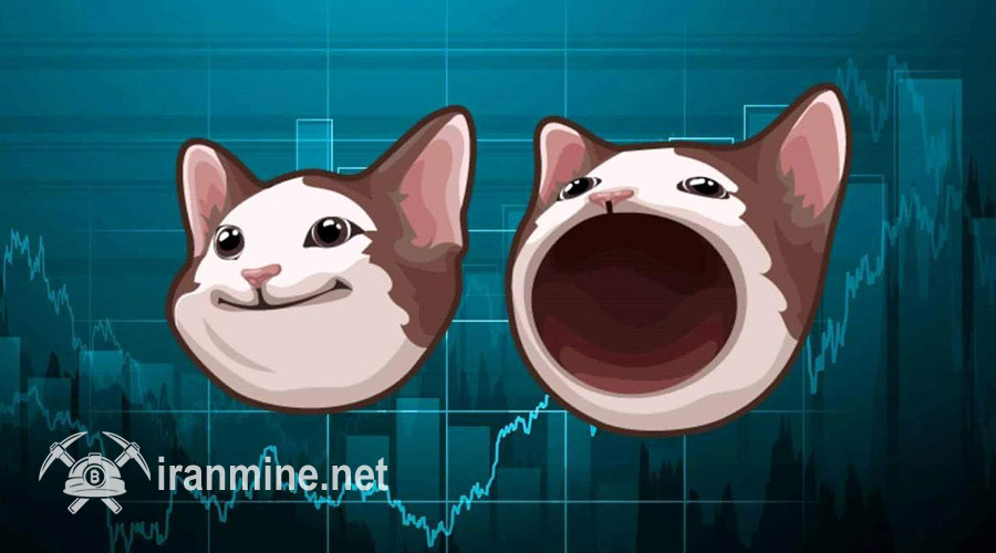 پاپ‌کت رکوردهای تاریخی را شکست! بررسی دلایل توسعه ۱۳۰ درصدی POPCAT | ایران ماین