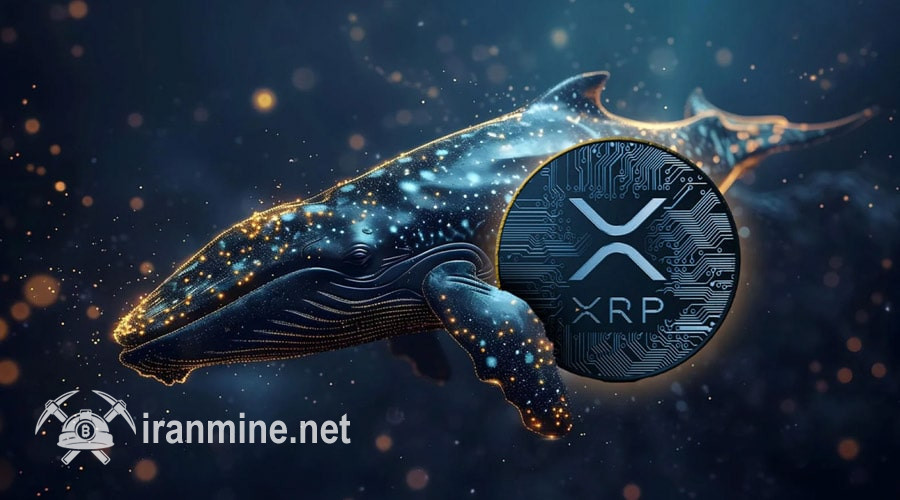 انباشت ۱۴۰ میلیون ریپل توسط نهنگ‌ها! روند صعودی XRP از سر گرفته می‌شود؟ | ایران ماین