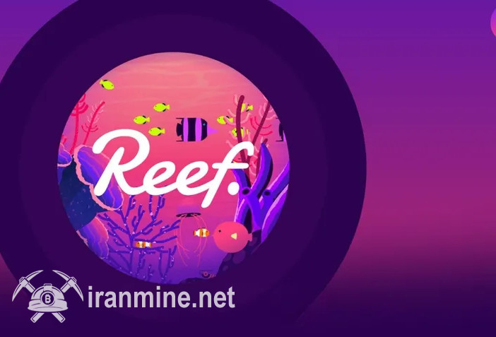 ارز ریف (REEF) از توسعه ۷ برابری تا سقوط ۸۰ درصدی! چه در انتظار ریف است؟ | ایران ماین