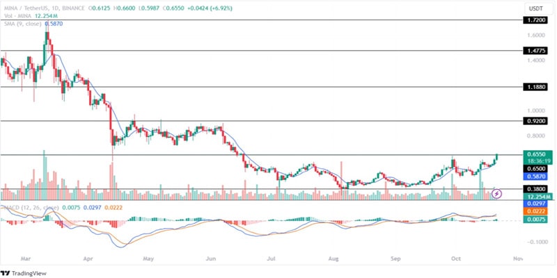 top-altcoins-to-stack-for-altseason-