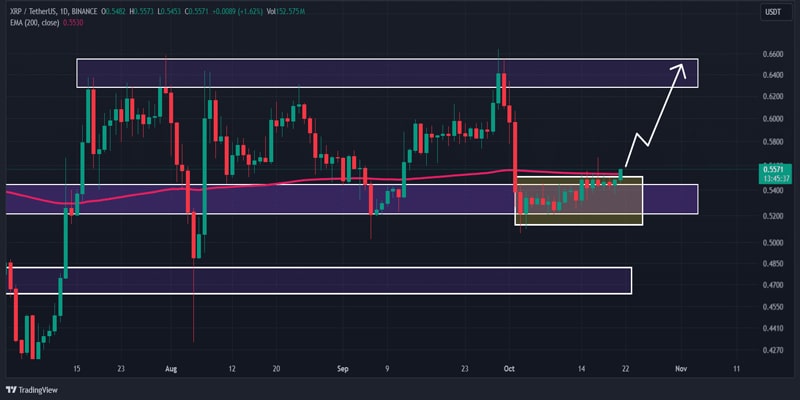 xrp-ledger-activity-surges-amidst-musks-individual-freedom-comments