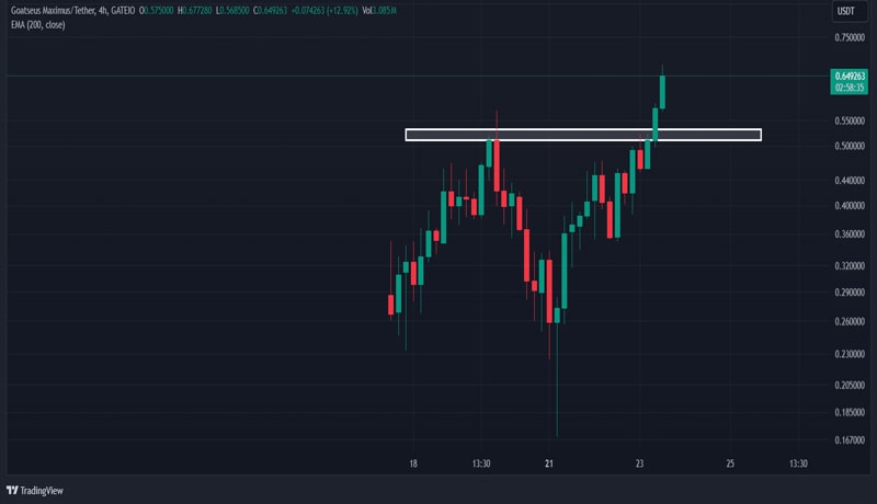 whale-buys-goat-worth-2-41-mln-will-the-hype-continue