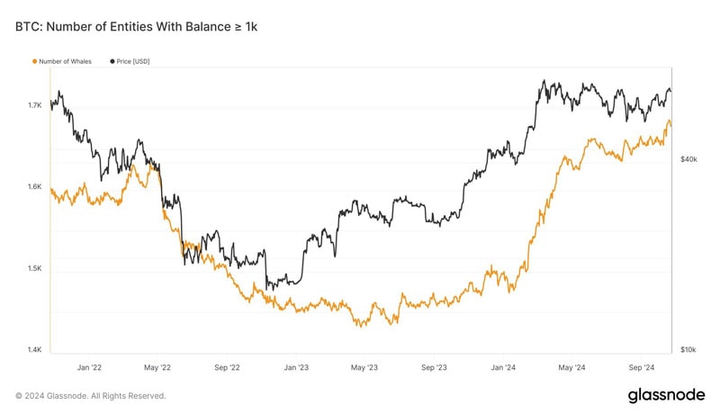 number-of-bitcoin-whales-jumps-to-highest-since-january-2021