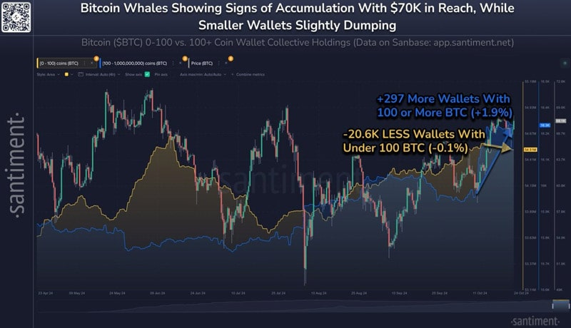 bitcoin-whales-are-growing-as-retail-shrinks-a-sign-of-strength-