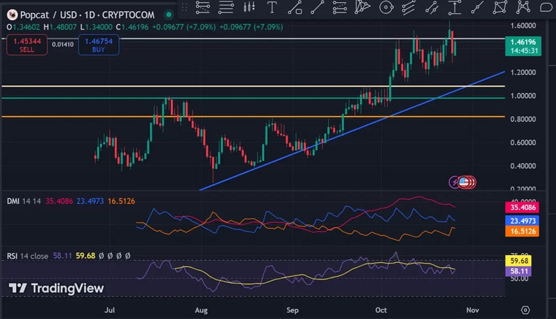 popcat-bears-eye-1-2-support-as-momentum-weakens-whats-next-