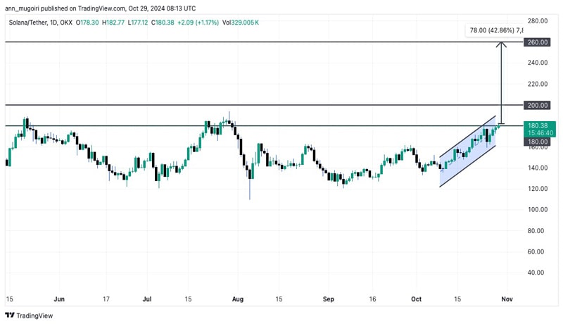 how-high-can-solana-price-go-in-november-bull-run