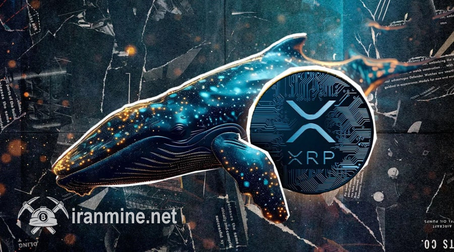 نهنگ‌ها ۵۲۶ میلیون دلار ریپل خریدند! پیش‌بینی‌های جدید از اهداف نرخ XRP | ایران ماین