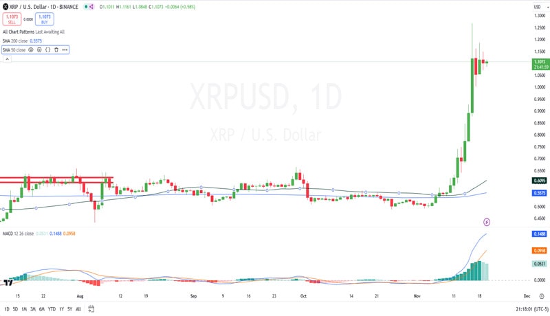 xrp-whales-move-210-million-coins-amid-cardano-partnership-rumours