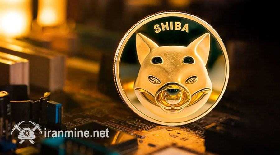 حریم خصوصی، اولویت اصلی شیبا! آیا این رویکرد نرخ SHIB را به اوج می‌رساند؟ | ایران ماین