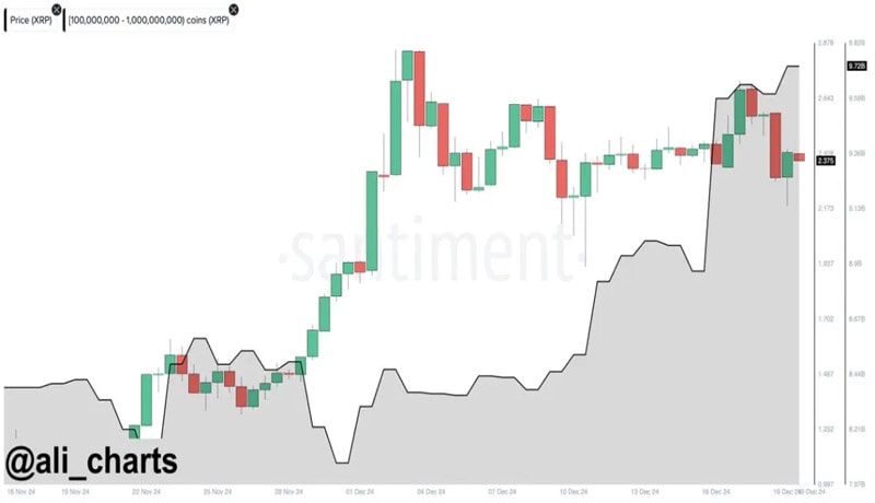 xrp-whales-loading-up-data-reveals-buying-activity