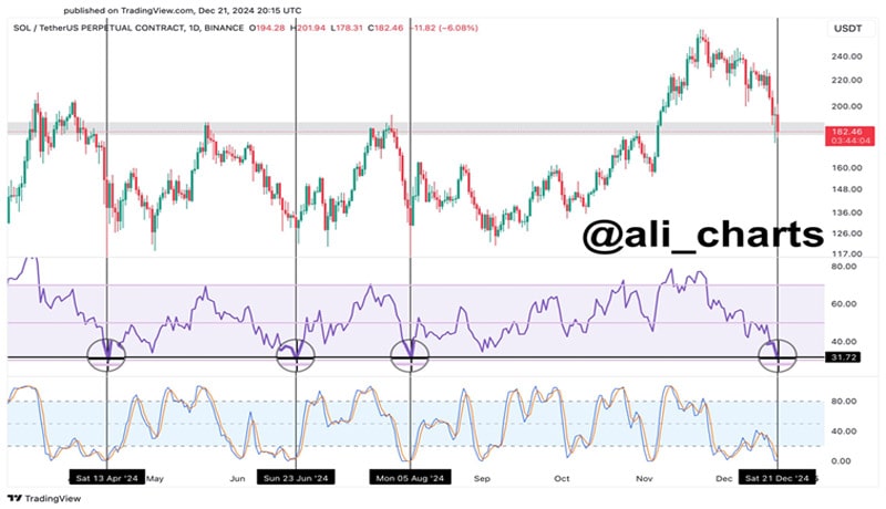 altcoins-set-to-outperform-btc-january-2025