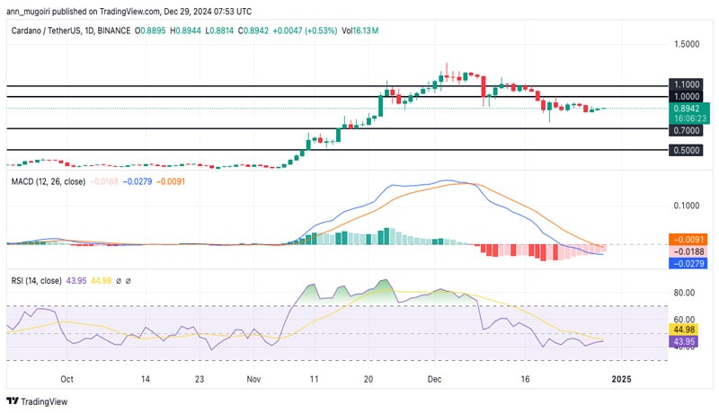 cardano-price-heres-what-to-do-as-ada-bottoms-