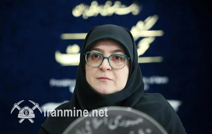 سخنگوی دولت: درگاه‌های رمزارز بسته نیست؛ بانک مرکزی تصمیم گیرنده است | ایران ماین