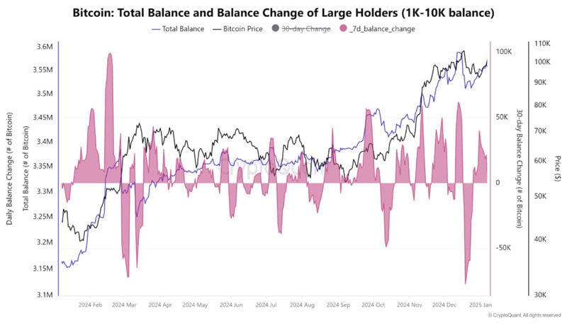 bitcoin-whales-are-accumulating-again-is-price-rebound-ahead-