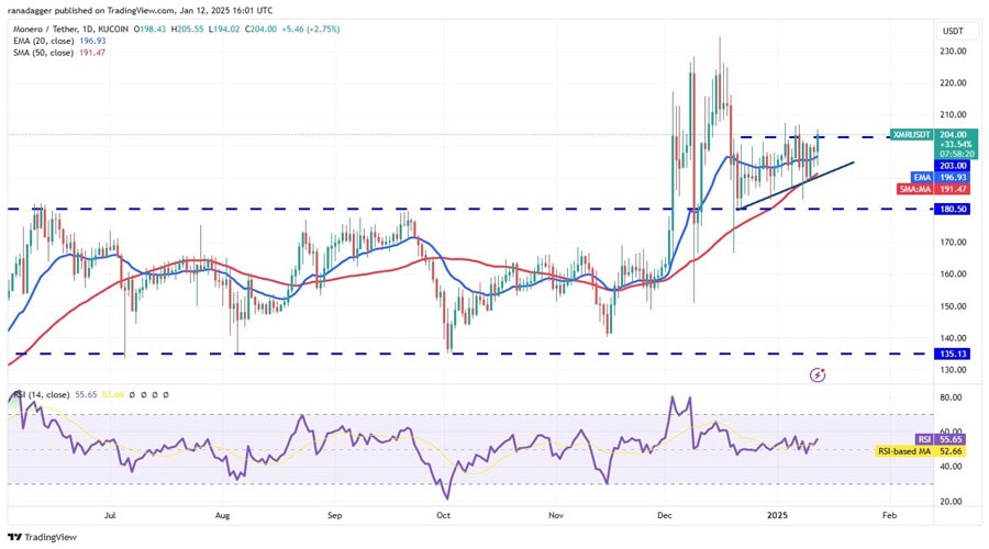 xrp-hbar-bgb-xmr-btc-flash-bullish-signs-