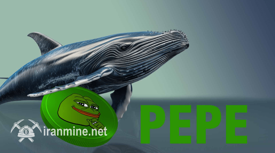 نهنگ‌های پپه به بازی بازگشتند! نرخ PEPE آماده حرکت صعودی است؟ | ایران ماین