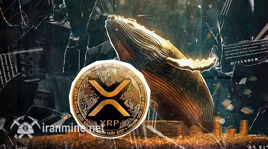 خبرهای هیجان‌انگیزی برای جامعه ریپل در راه است؛ نهنگ‌ها ۱۲۰ میلیون XRP خریدند! | ایران ماین