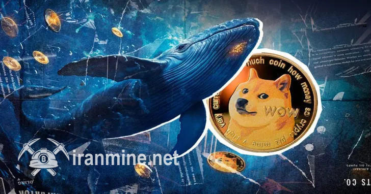 نهنگ‌های دوج کوین ۷۵۰ میلیون نشان DOGE خریدند | ایران ماین