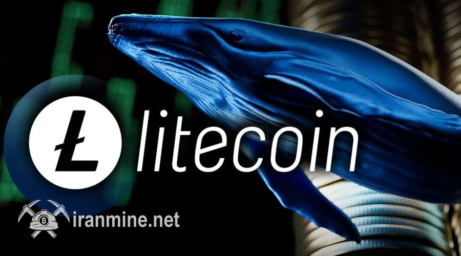 تأیید ETF لایت‌کوین نزدیک است؟ نهنگ‌ها ۵۱۲ میلیون دلار LTC انباشت کردند! | ایران ماین