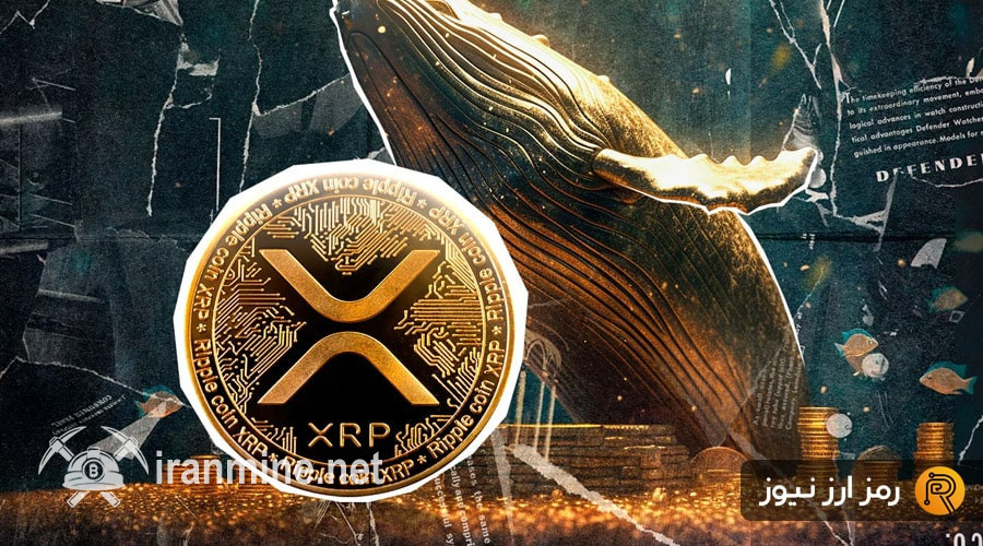 ۳ سیگنال صعودی قوی برای ریپل؛ XRP دوباره به سبد خرید نهنگ‌ها اضافه شد! | ایران ماین