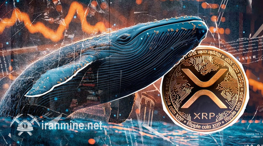 ریپل آماده انفجار قیمتی؛ نهنگ‌ها ۳.۳ میلیارد دلار XRP انباشت کردند! | ایران ماین