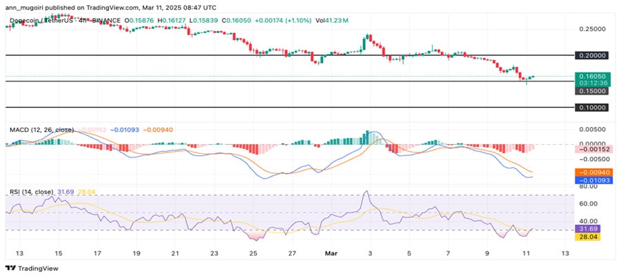 elon-musks-tesla-down-15-can-dogecoin-price-attempt-recovery-here-