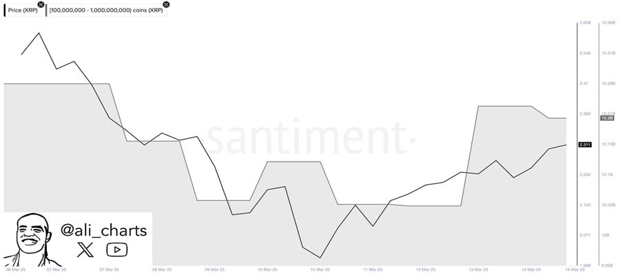 are-xrp-whales-positioning-for-the-end-of-the-ripple-vs-sec-lawsuit