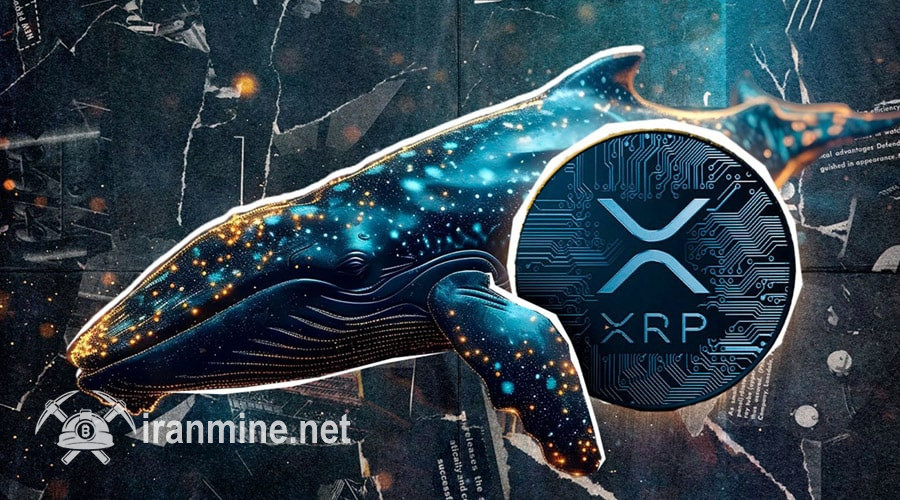 ریپل در آستانه بازگشت به اوج؛ نهنگها ۲۰۰ میلیون XRP را انباشت کردند! | ایران ماین
