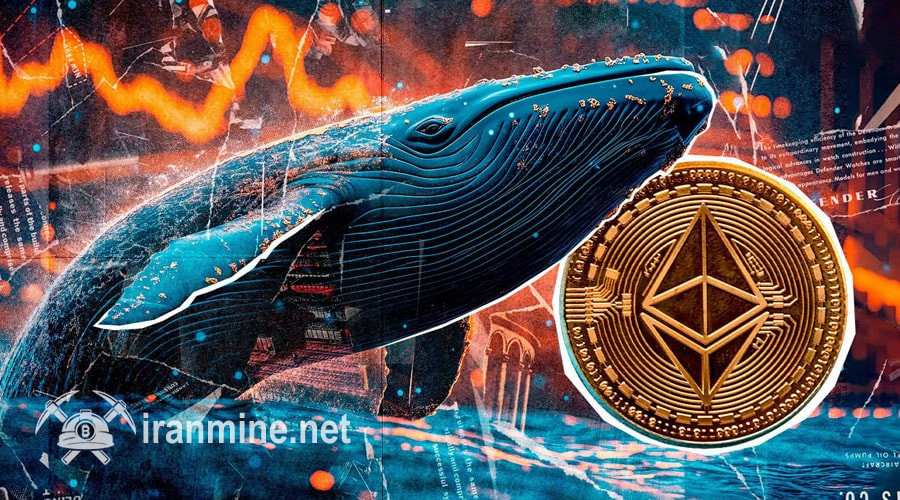 شرط‌بندی سنگین یک نهنگ روی سقوط بازار؛ سرنوشت پوزیشن ۶۹ میلیونی چه می‌شود؟ | ایران ماین