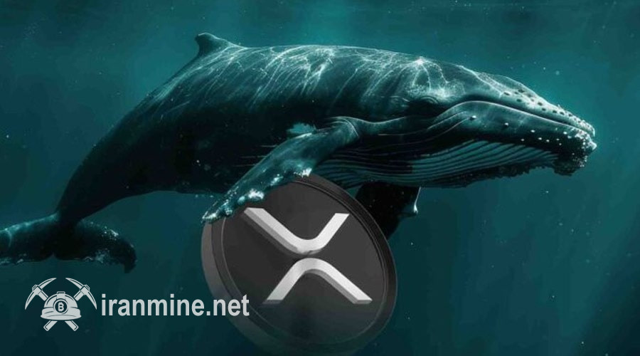شرط‌بندی ۶ میلیون دلاری نهنگ‌ بزرگ روی ریپل! نرخ XRP آماده انفجار است؟ | ایران ماین