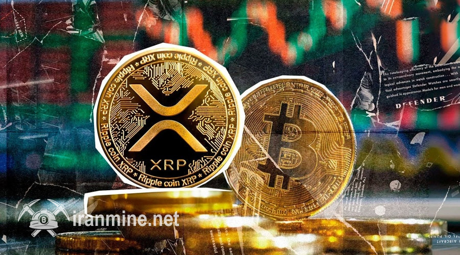 بیتکوین یا ریپل؛ کدام رمز ارز در این چرخه سود بیشتری میدهد؟ | ایران ماین