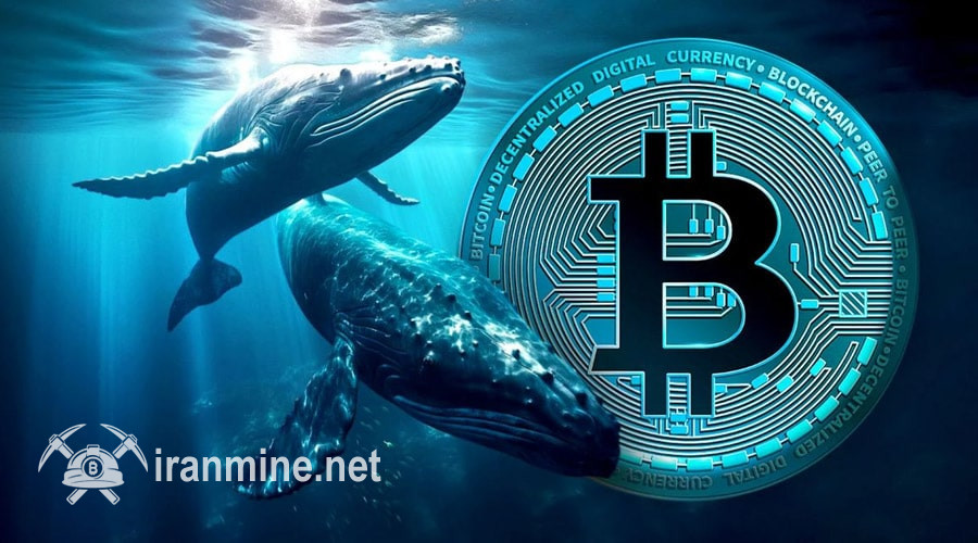 دفاع تمام‌قد نهنگ‌ها از رالی بیت‌کوین؛ ۸.۵ میلیارد دلار BTC دیگر انباشت شد! | ایران ماین