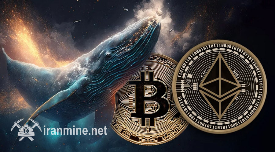 کوچ نهنگ بزرگ بیت‌کوین به بازار اتریوم؛ ۵۶۱ میلیون دلار ETH انباشت شد! | ایران ماین