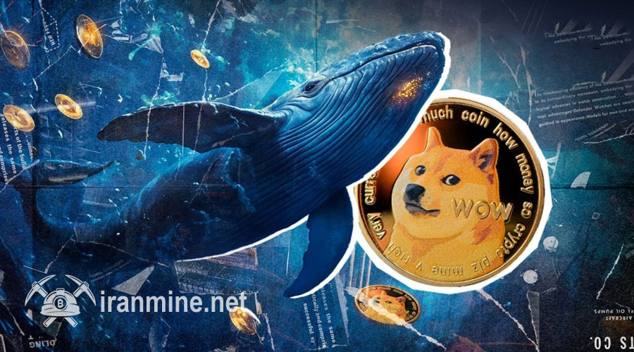 نهنگ‌های دوج‌کوین در کمین توسعه؛ خرید یک میلیارد DOGE در پشتیبانی مهم! | ایران ماین