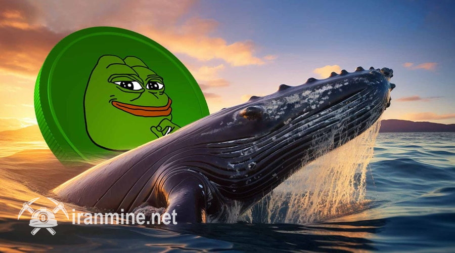 نهنگ افسانه‌ای پپه برگشت؛ برداشت ۲ تریلیون PEPE از بایننس پس از ۲ سال سکوت! | ایران ماین