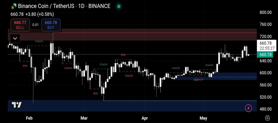 bnb-surges-but-whales-bet-against-it-are-bulls-ignoring-the-warning
