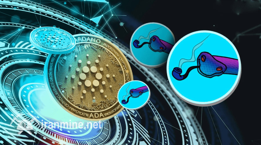 میم‌کوین اسنک، برگ برنده جدید کاردانو برای نجات از رکود؟! | ایران ماین