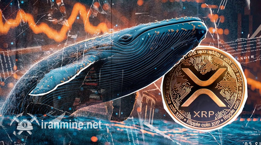 انباشت ۱۹۰ میلیون XRP در یک هفته؛ نهنگ‌ها مانع سقوط به زیر ۲ دلار می‌شوند؟ | ایران ماین