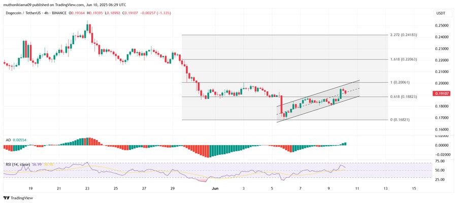 dogecoin-price-rally-odds-improve-as-holders-sell-155m-doge-at-los
